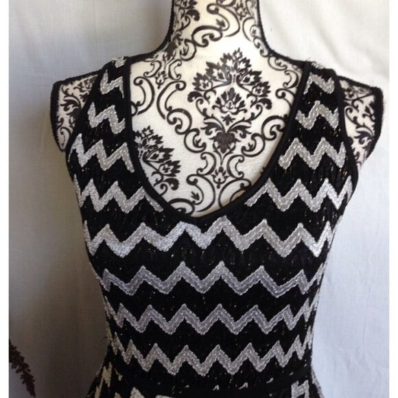 Studio Y Sz XS Black White Chevron Herringbone Lace Fit and Flare Dress Metallic - Picture 7 of 15